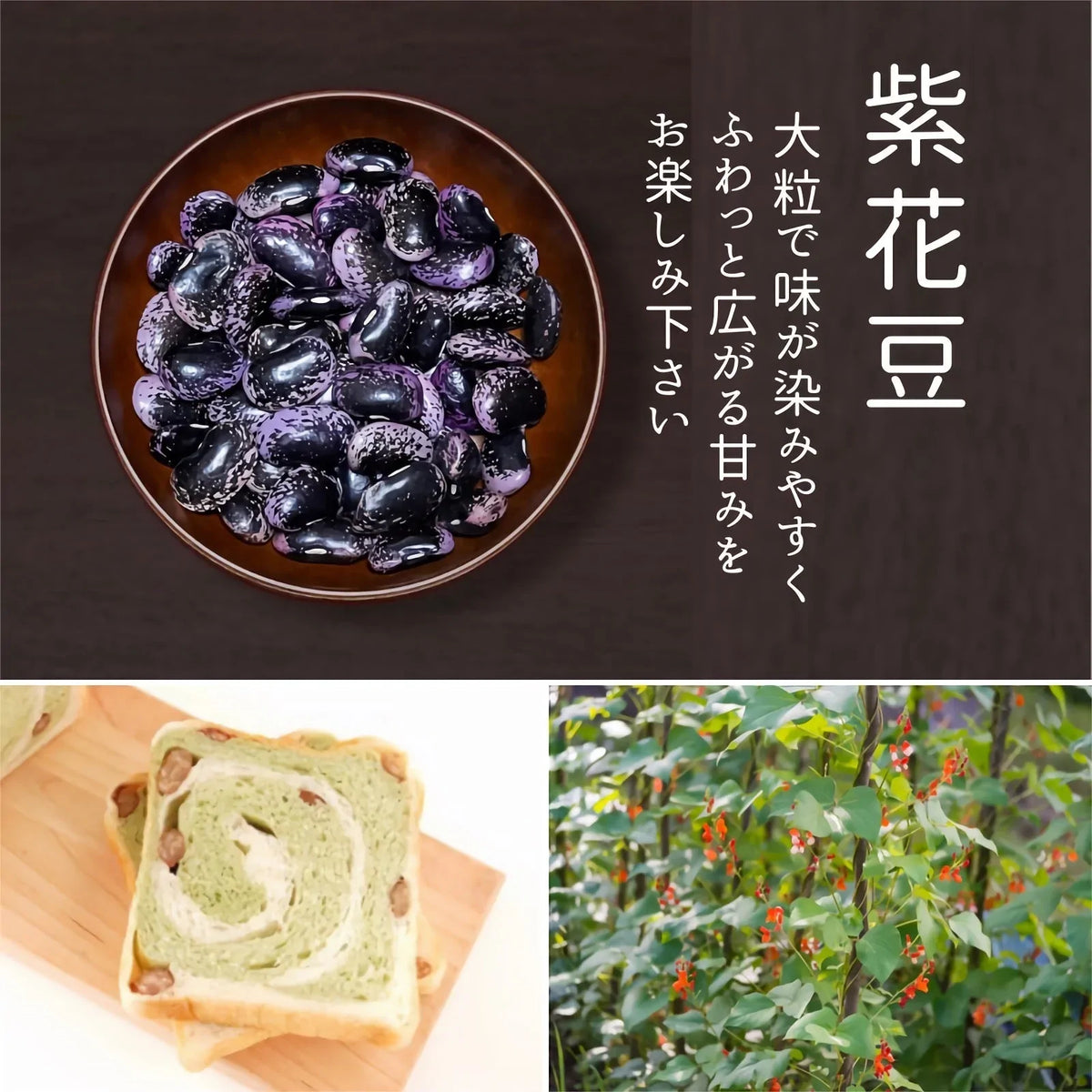 【厳選した豆を食べ比べ】７種の乾燥豆セット 計700ｇ（各100ｇ）農薬・化学肥料不使用 2022年産 青森県産 厳選 産地直送 送料無料 お試し 健康 ヘルシー