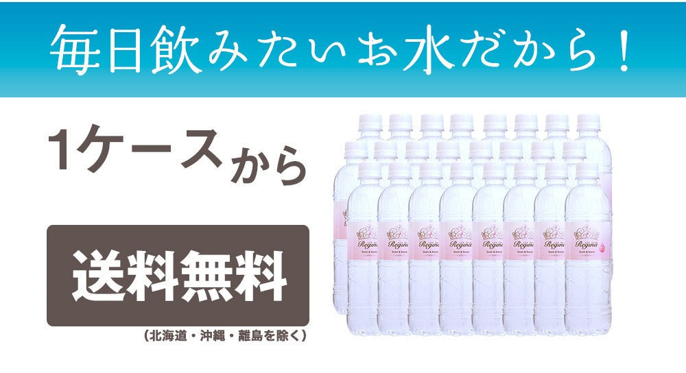 【最安値挑戦祭】シリカ水 525ml 40本 シリカウォーター 天然水 天然シリカ ミネラルウォーター 美ウォーター ケイ素水 水 軟水 レジーナ 国産 大分県産