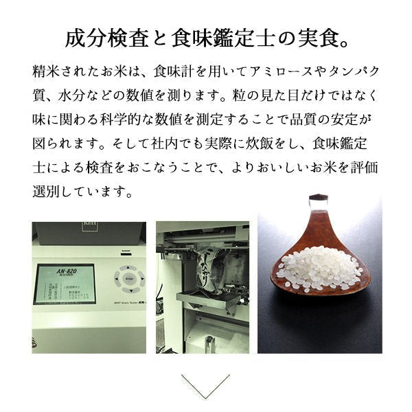 【5人シェア買いで5%OFF】米 10kg 山形産はえぬき 令和3年産 お米 10キロ（本州：送料無料）