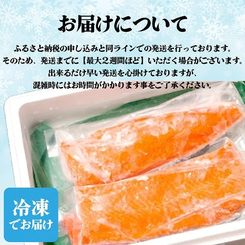 ノルウェーサーモン どどーーんと1kg！ たっぷり 国内加工 沼津市 お祝い ギフト 真空 冷凍 サーモン 皮つき ふるさと 返礼品 お得 特大 刺身 寿司 生食可 お買い得 お得