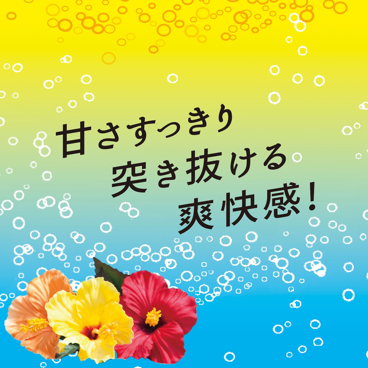 伊藤園 Vivit's（ビビッツ） 沖縄パイン ミックスソーダ 450ml ペットボトル 24本入