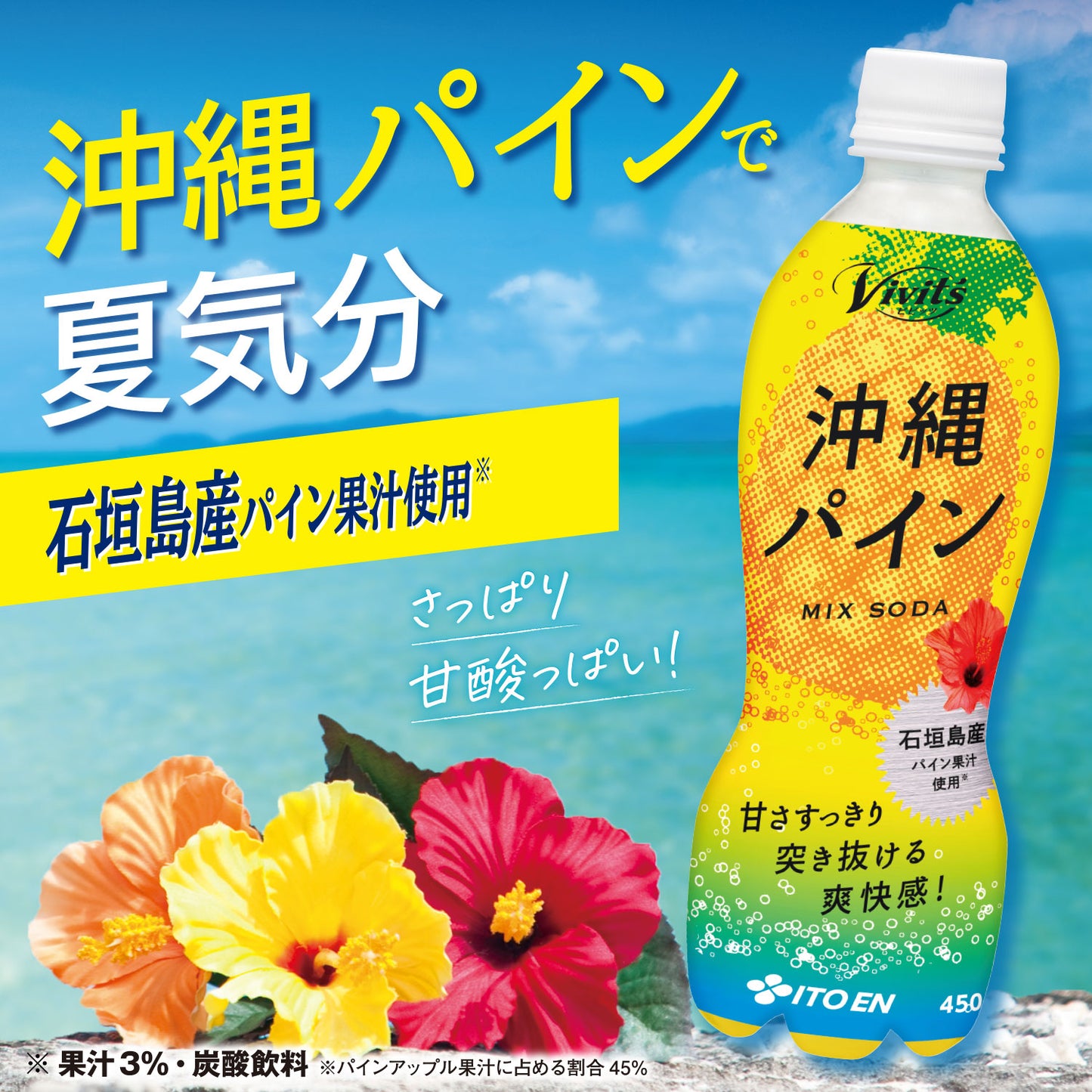 伊藤園 Vivit's（ビビッツ） 沖縄パイン ミックスソーダ 450ml ペットボトル 24本入