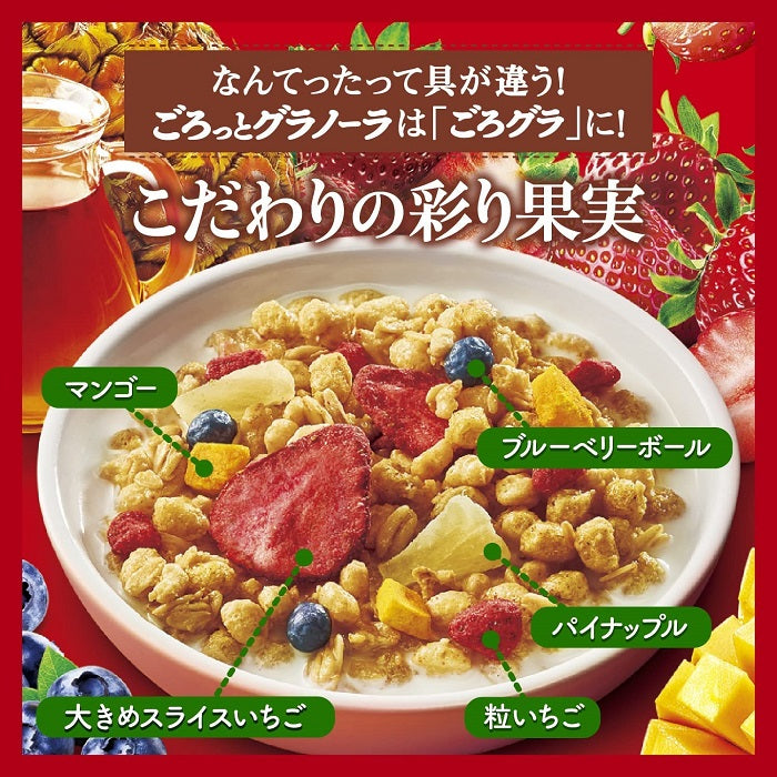 日清シスコ ごろグラ 彩り果実 400g 12袋（6袋入×2 まとめ買い）