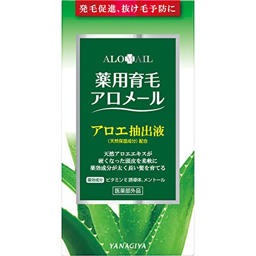 柳屋本店 アロメール 240ml 微香性 ローション