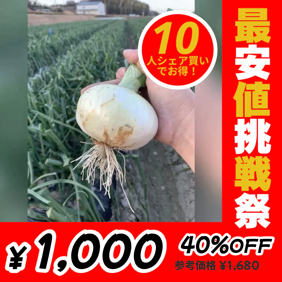 訳あり新玉ねぎ2kg🧅シャーロットオニオン今が旬 淡路島極熟玉葱 送料無料 たまねぎ タマネギ【最安値挑戦祭】