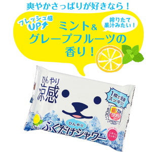 【メール便 送料無料】ひんやりふくだけシャワー ミント&グレープフルーツの香り(10枚入)