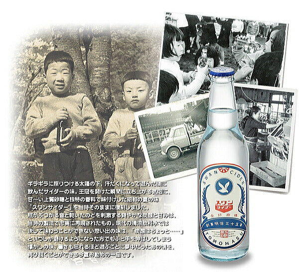 友桝飲料 スワンサイダー ギフト 330ml 瓶 12本入 〔炭酸飲料〕