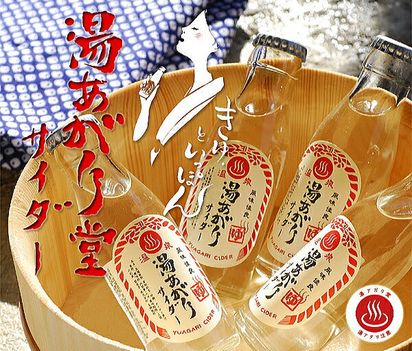 友桝飲料 湯あがり堂サイダーギフト 95ml 瓶 24本入 〔炭酸飲料〕