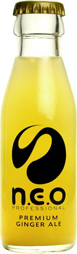 友桝飲料 n.e.o（neo ネオ）プレミアムジンジャーエール  95ml 瓶 24本入