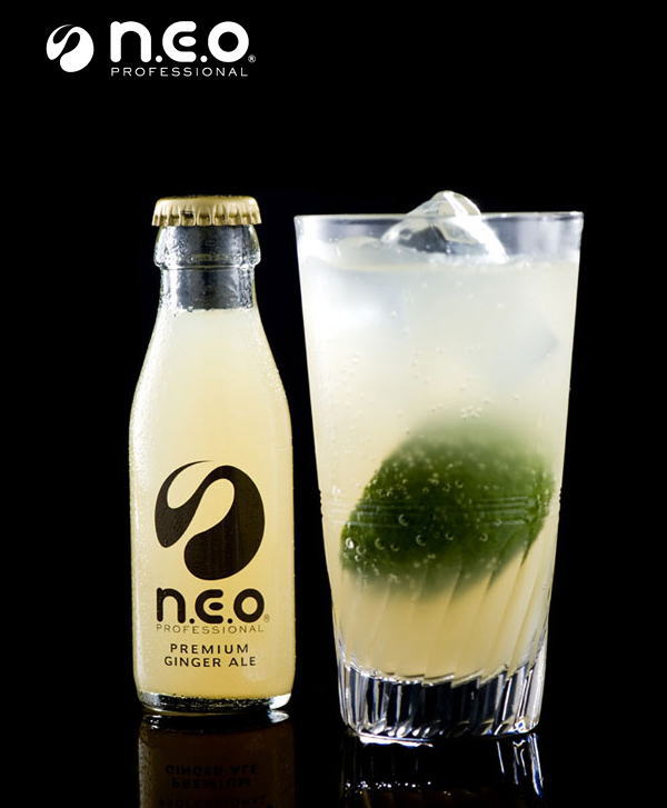 友桝飲料 n.e.o（neo ネオ）プレミアムジンジャーエール  95ml 瓶 24本入
