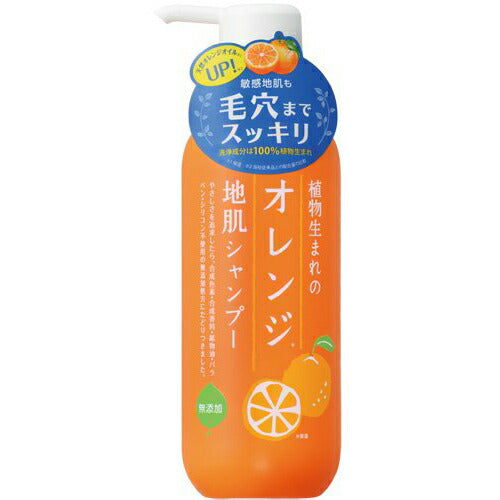 【送料無料】石澤研究所 植物生まれのオレンジ地肌シャンプーN 400ml