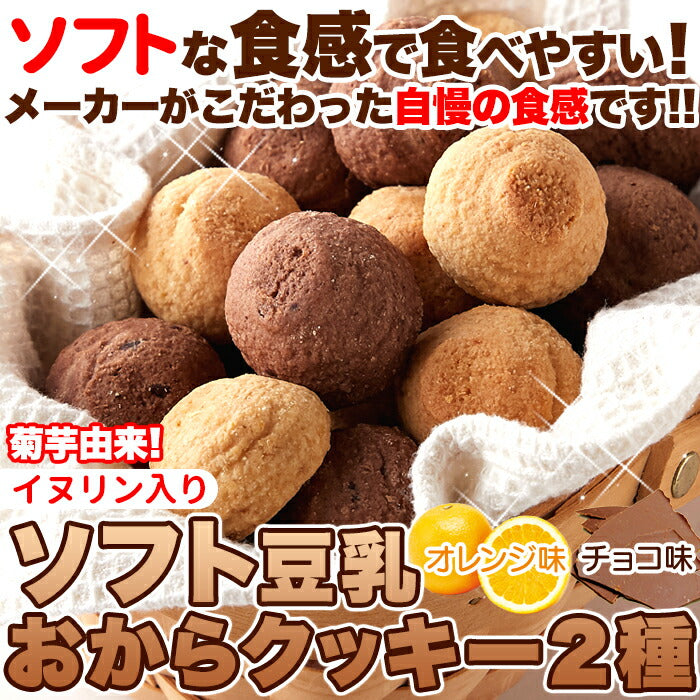 イヌリン入豆乳おからクッキー 500g (チョコ オレンジ) 豆乳 おから オカラクッキー 大量 お菓子 洋菓子 おやつ 焼菓子 イヌリン クッキー プチ