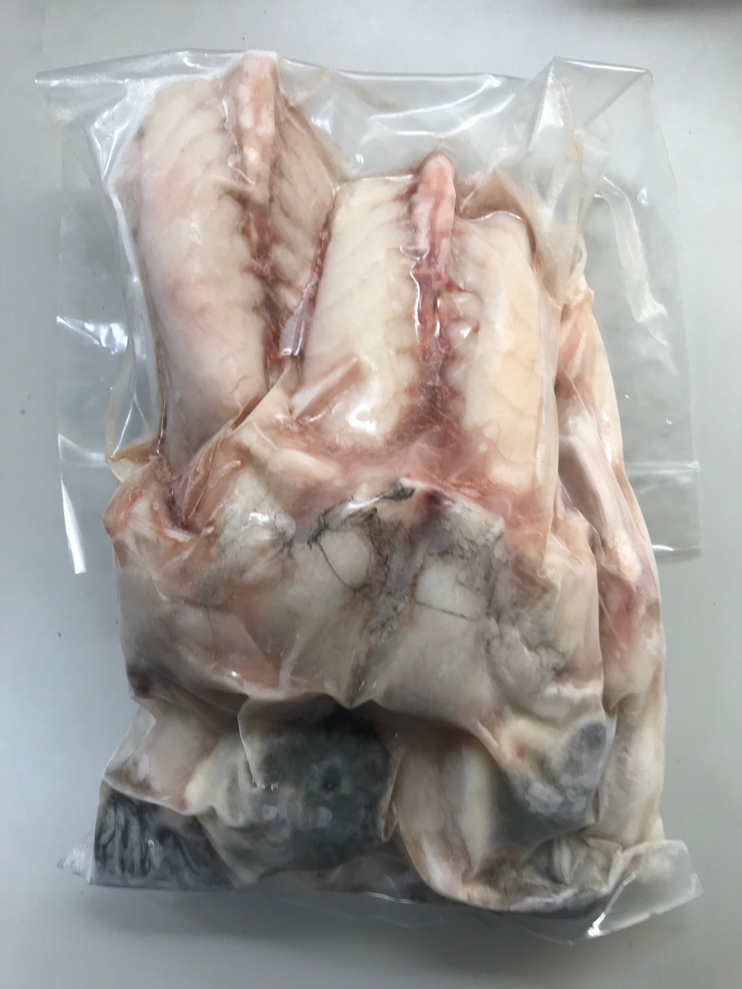 2尾 国産とらふぐみがき（生食可)