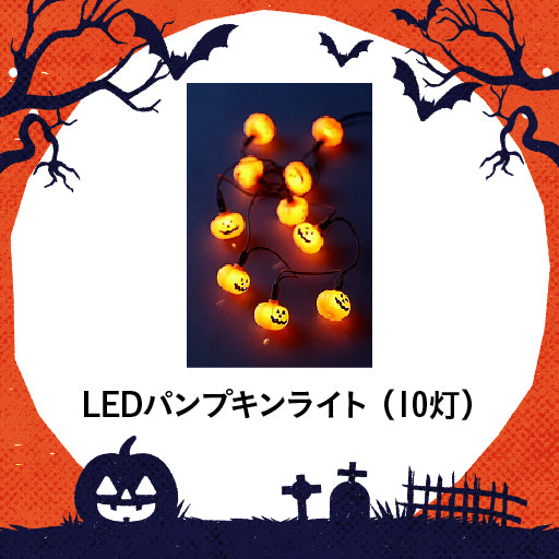 【ハロウィンCPセットB】NEW YORK PASTRAMI SANDWICH KIT 【パストラミサンドイッチ2食分セット】