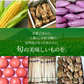 【超シェア買い祭】送料無料 野菜セット 10品セット おまかせ野菜セット 野菜詰め合わせ お試し野菜セット 西日本野菜セット フードロス 岡山 複袋 福袋 送料込 も ったいない 人気 安い 野菜宅配 おすすめ プレゼント ギフト 実用的 父の日 ギフト 福袋 お正月【エコ得】
