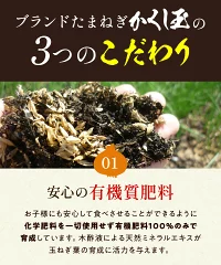 今井ファーム　 淡路島 新玉ねぎ かくし玉　５K  ＃かくし玉訳あり5Ｋ＃