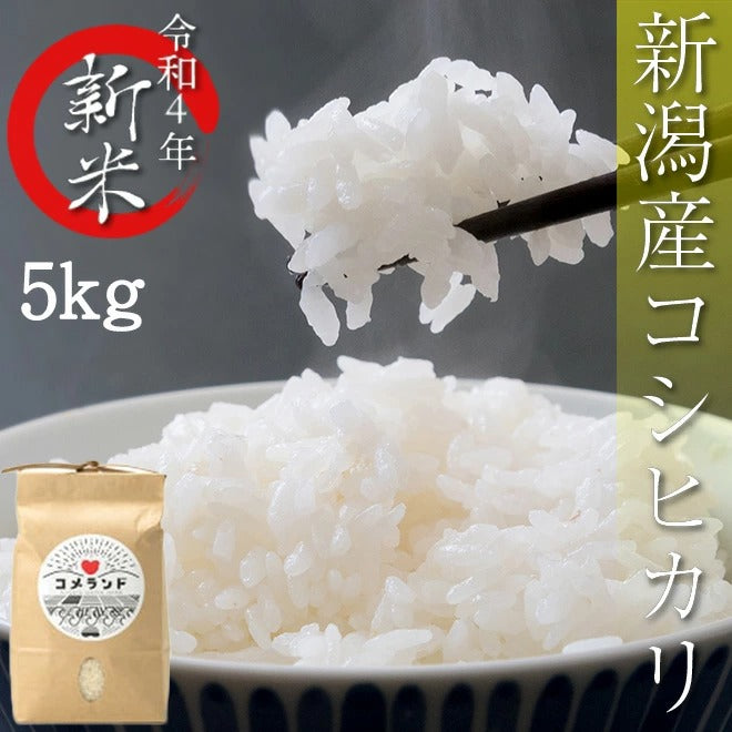 5kg 令和4年産 新潟こしひかり