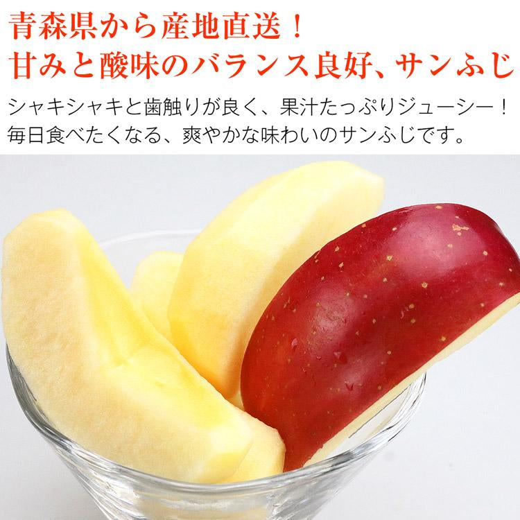 サンふじ 3kg 青森県産 秀A CA貯蔵 産地直送 高木商店 マルタカ りんご 林檎 リンゴ 産直 常温便