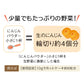野菜ファインパウダー にんじんパウダー