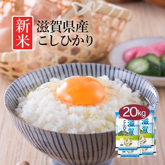 米 精米 滋賀県産 こしひかり 20kg (5kg×4) 令和5年産 新米 お米 白米 おくさま印 国産 食品 ギフト 引っ越し 挨拶 出産 内祝い 母の日 父の日 お中元 お歳暮 結婚 快気 還暦 香典返し お年賀 送料無料