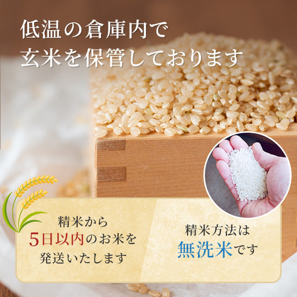 関東送料無料 10kg（5kg×2） 令和3年 山形県産 つや姫 精米 お米 コメ 米 無洗米