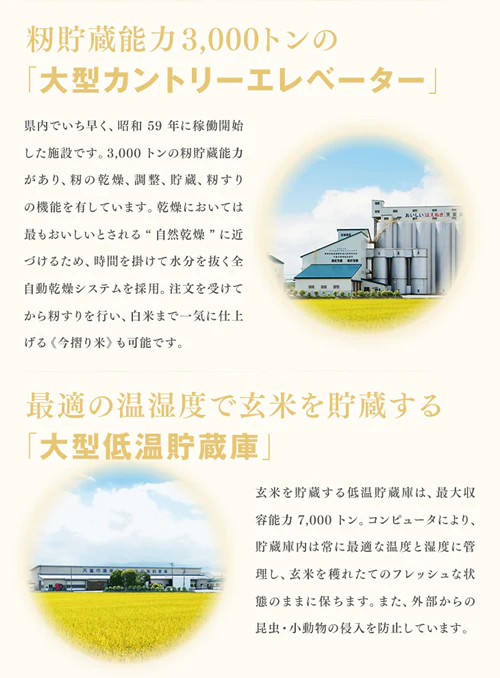 【超シェア買い祭】令和4年産 送料無料 米 10kg 山形県産 つや姫 10kg(5kg×2) 精米 ※一部地域は別途送料追加 rts1004