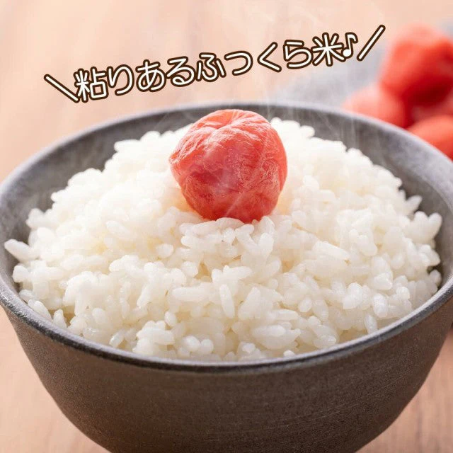 【3人シェア買いでお得】10kg 令和3年産 新潟こしひかり