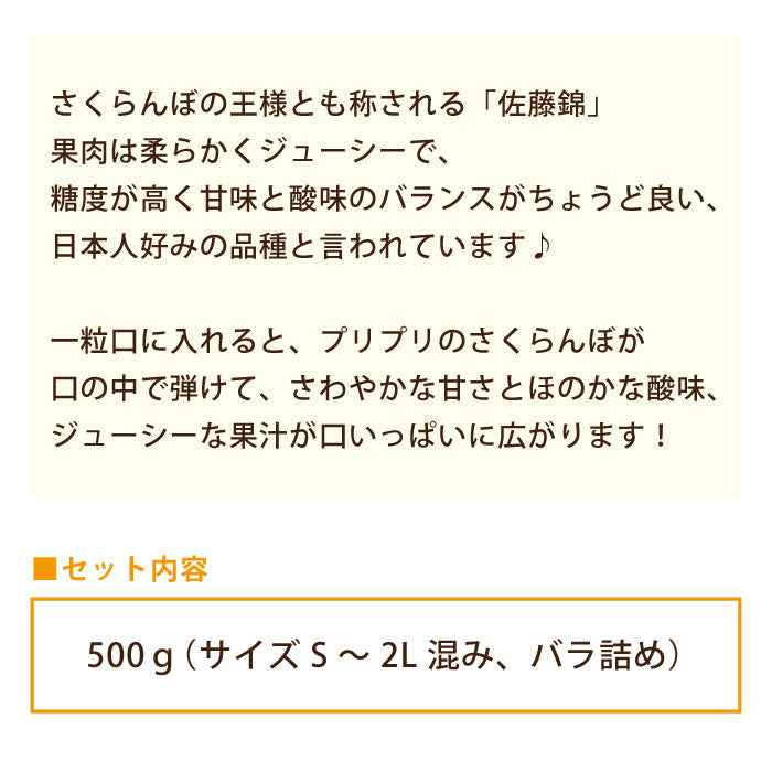 さくらんぼ（佐藤錦）　約500g（S～2L混合・ばら詰め）【特産品・ご当地特集】