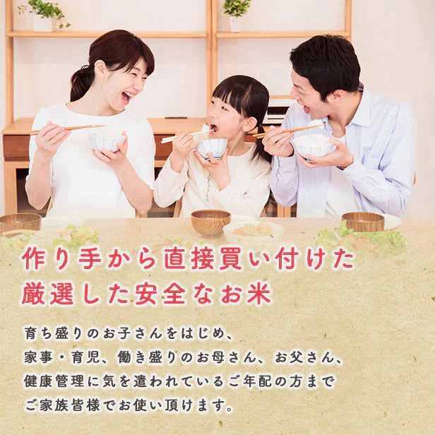 【精米20kg】秋田県産 あきたこまち20kg (5ｋｇ×4袋)令和4年産　一等米　米びつ当番【天鷹唐辛子】プレゼント付き【ゲリラセール】