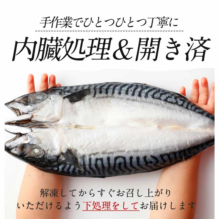 さば 開き 頭付 背開き 900g 450g×2枚 EPA DHA 豊富 青魚