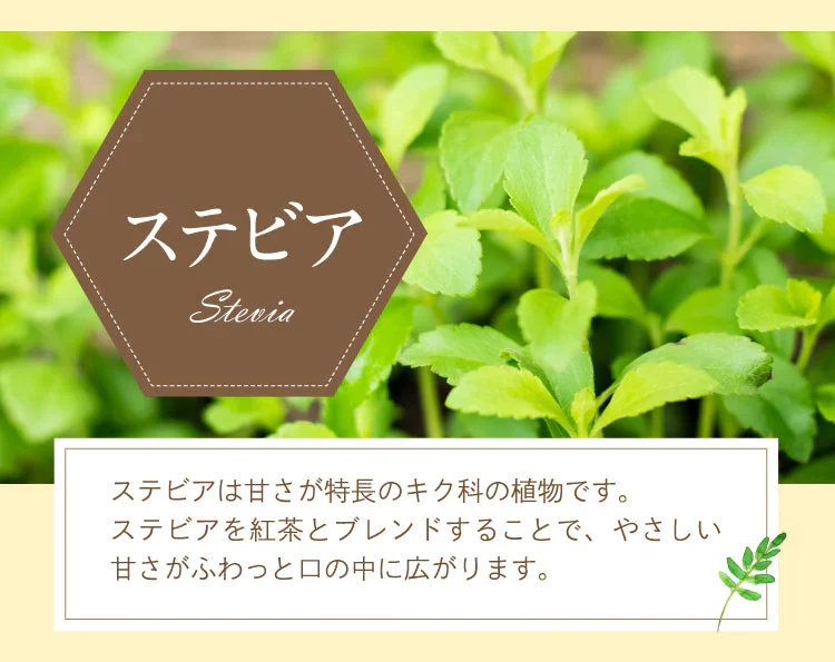 【超得ハイパーSALE】贅沢はちみつ紅茶 カップ用 15個入