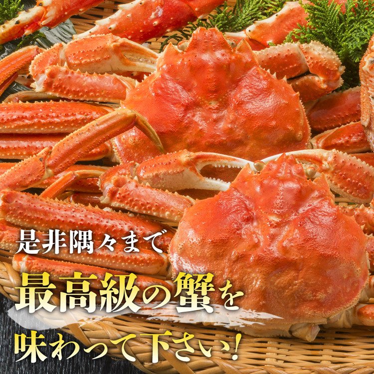 【5人でシェア買いでお得】かに 蟹 姿ずわいがに 3kg セット (5?6尾) 送料無料 冷凍便 かにみそ ズワイガニ カニ