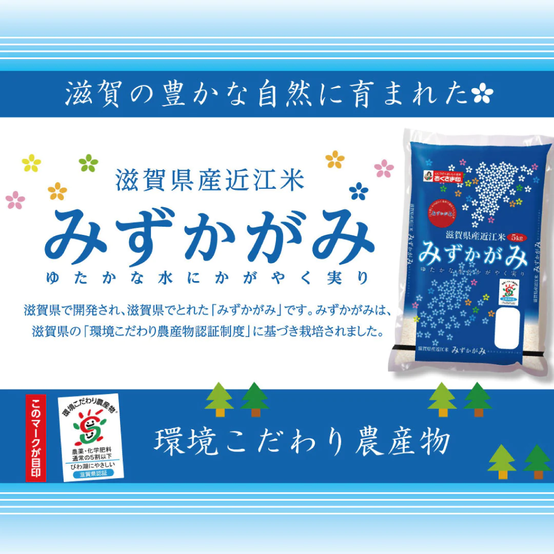 米 精米 滋賀県産 近江米 みずかがみ 10kg (5kg×2) 令和5年産 新米 お米 白米 おくさま印 国産 食品 ギフト 引っ越し 挨拶 出産 内祝い 母の日 父の日 お中元 お歳暮 結婚 快気 還暦 香典返し お年賀 送料無料