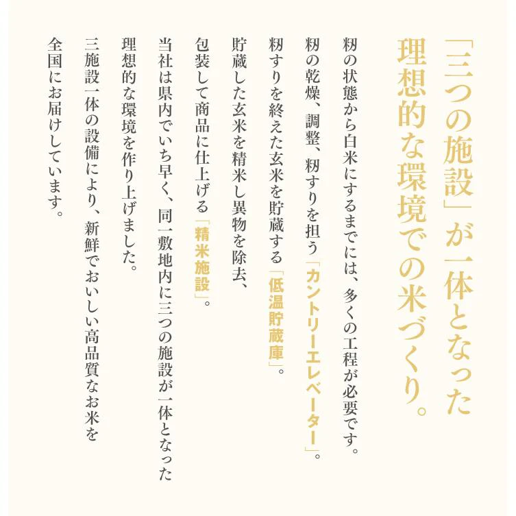 【山形県産米100％】 山形県産ブレンド米5kg×2【エコ得】