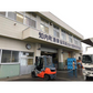北海道知内産 特大 知内カキ 30個