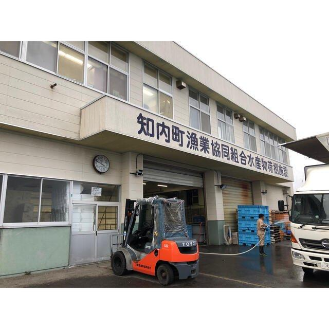 北海道知内産 特大 知内カキ 30個