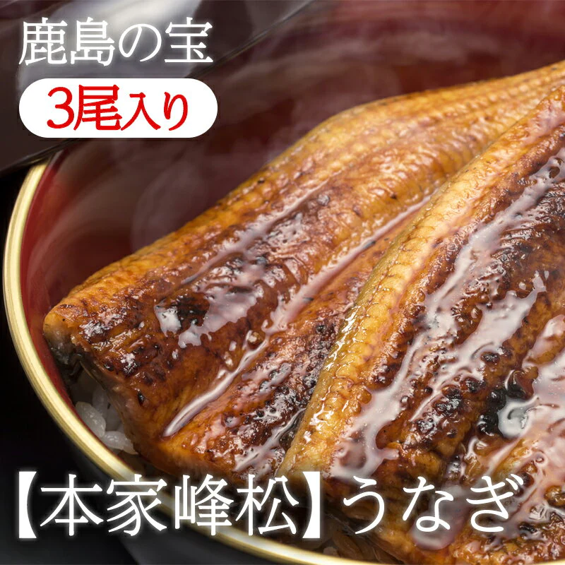 【産地直送】峰松うなぎ屋 うなぎの蒲焼 （3尾入り）