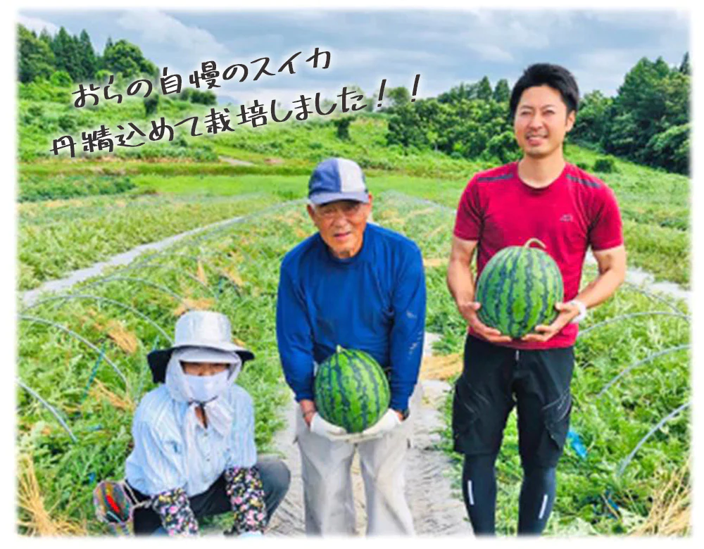 【予約販売7月下旬より順次出荷】尾花沢スイカ １玉 山形県産 4L 5L スイカ すいか 送料無料 ギフト お取り寄せ 産地直送  kkb-008