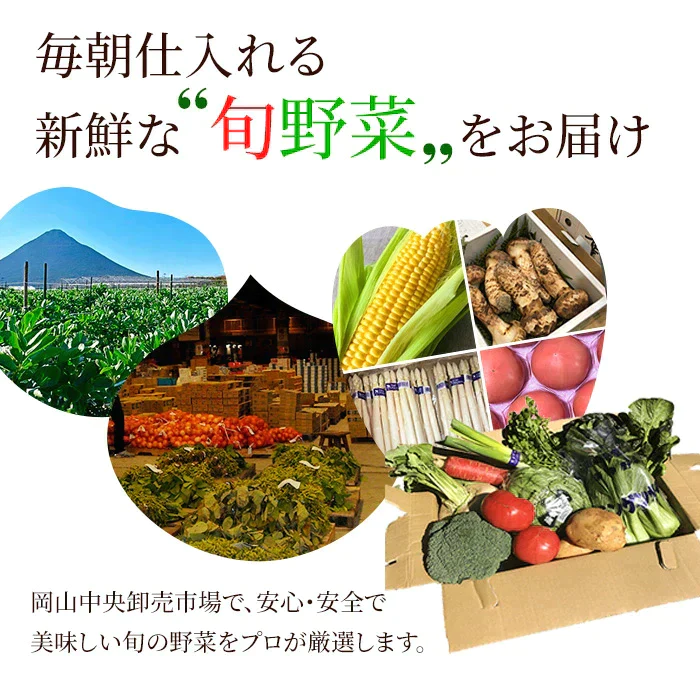 【超シェア買い祭】送料無料 野菜セット 10品セット おまかせ野菜セット 野菜詰め合わせ お試し野菜セット 西日本野菜セット フードロス 岡山 複袋 福袋 送料込 も ったいない 人気 安い 野菜宅配 おすすめ プレゼント ギフト 実用的 父の日 ギフト 福袋 お正月【エコ得】