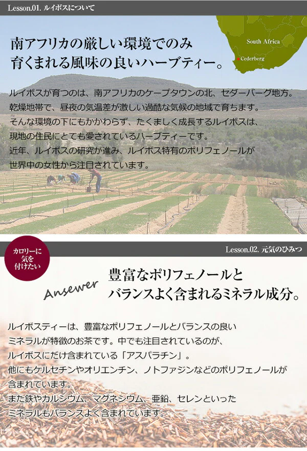オーガニック ルイボスティー スーパーハイグレード リーフ 100g 有機JAS m3 【送料無料】ノンカフェイン ゼロカロリー お茶 茶葉 ハーブティー 温活 妊活 ルイボス茶 ルイボスティ ギフト