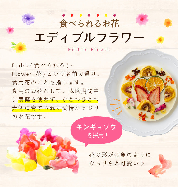 フラワーカーニバルショコラ ギフト（スイート）＋Tea Bloom（紅茶ギフト）セット  【エコ得リリースセール】