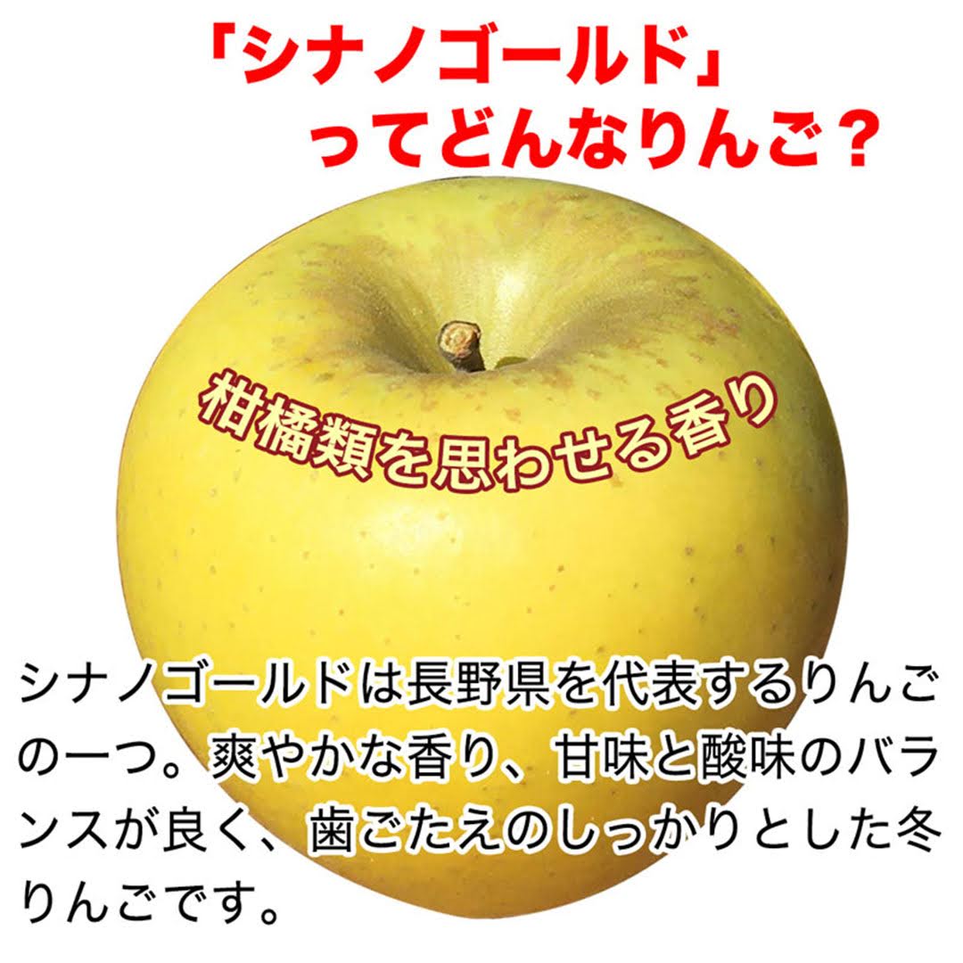 【2023年産予約開始！数量限定！】シナノゴールド 訳あり 約4.5kg(11-28玉) パリっと歯ごたえジューシー 10月下旬頃発送開始予定 #YAG0B045