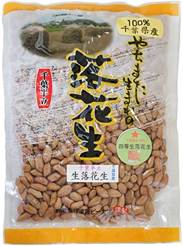 未調理なま落花生（千葉半立）四等５００ｇ 千葉県八街産落花生