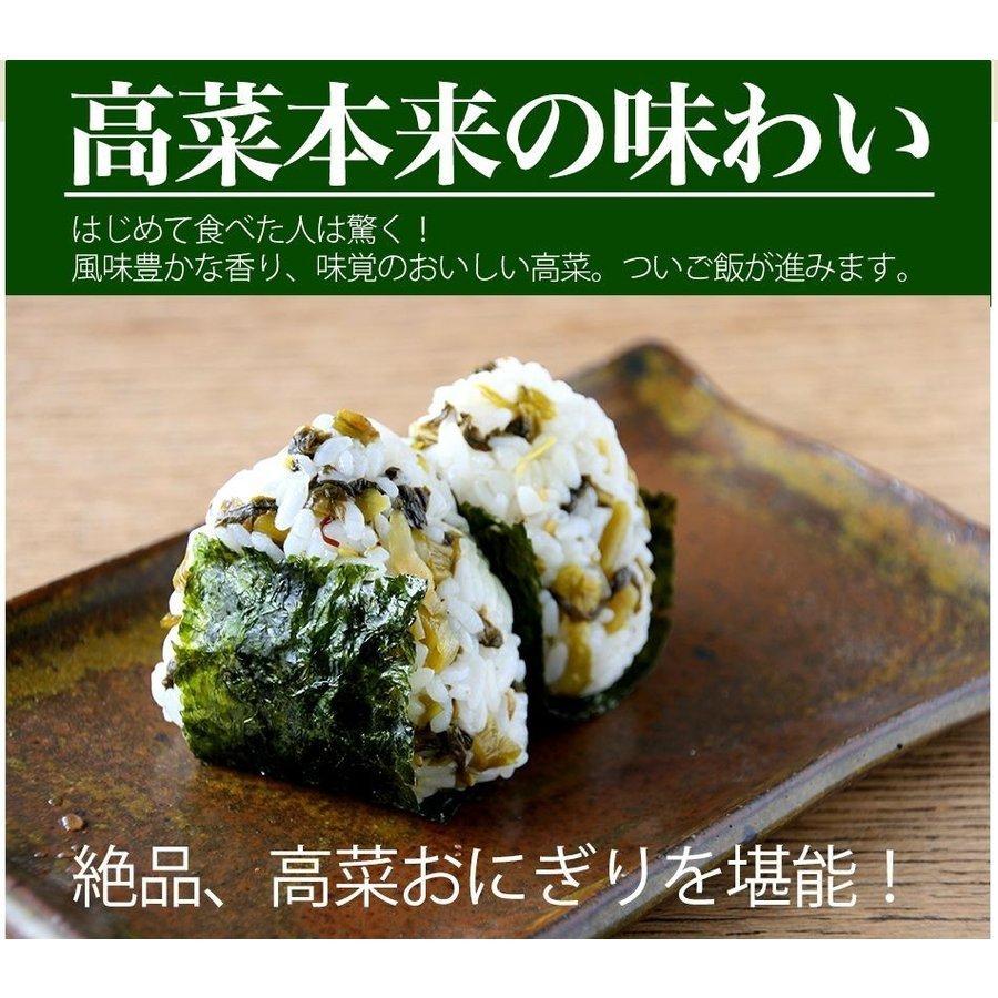 九州高菜 4袋 (150g×4袋) 送料無料 ご飯のお供 ふりかけ 食品 お試し 国産 ギフト お取り寄せ グルメ 漬物 鹿児島 宮崎