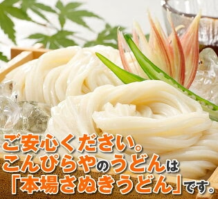 【超得ハイパーSALE】本場讃岐うどん ハーブうどん 200g 送料無料 4種のハーブ(タイム・レモンバーベナ・バジル・ローズマリー)を麺に練りこんだ本場讃岐うどん 五色台ハーブ園 ハーブ うどん 讃岐うどん ポスト投函便での配送(代金引換-後払い不可・着日指定不可)【半生麺】【並麺】