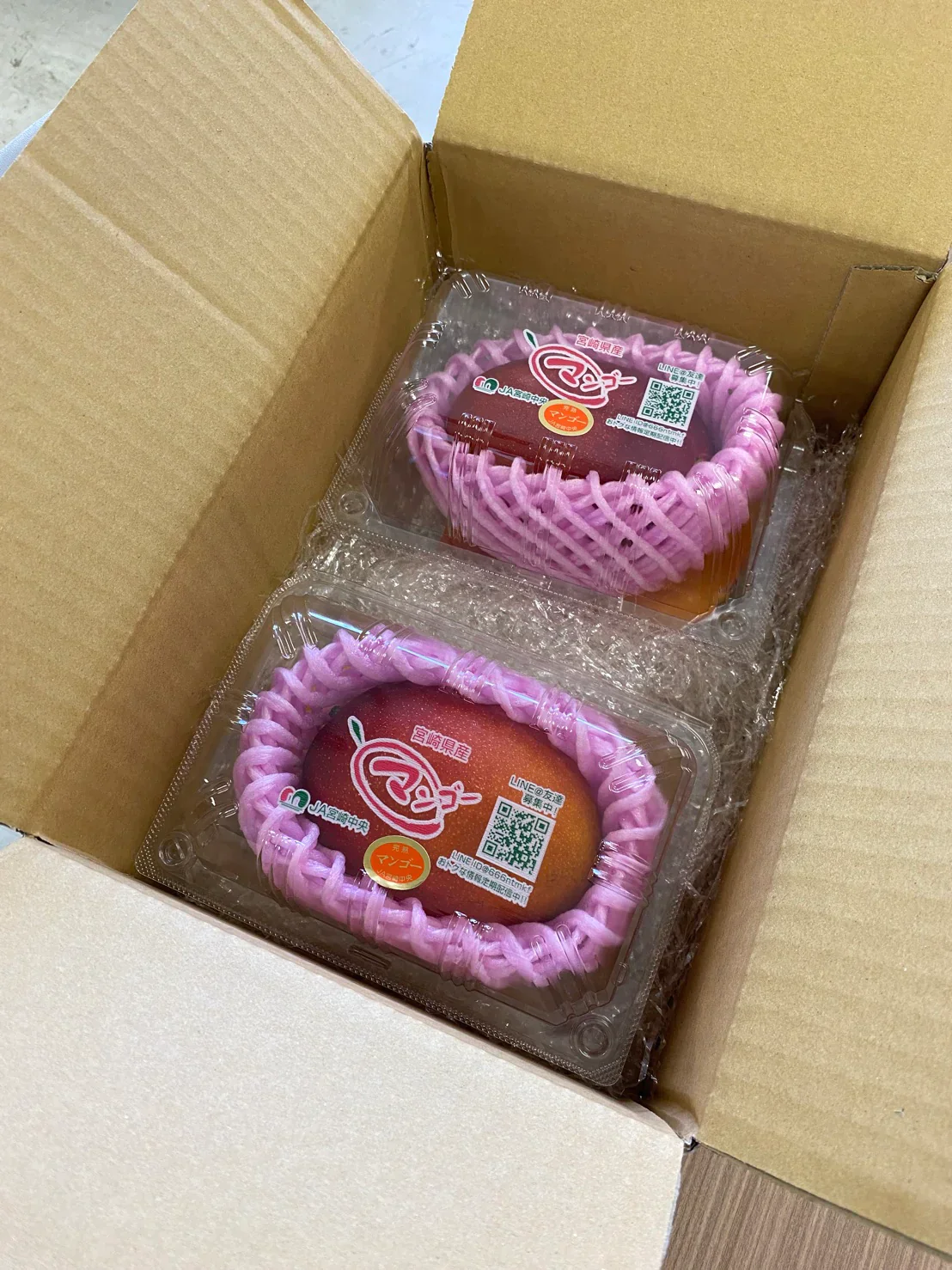 宮崎県産マンゴー 800g (400g×2個入)【秀品】【ゲリラセール】