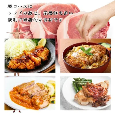 豚ロース 13kg 100g×10枚×13 トンカツ トンテキ カツ丼 生姜焼き 甘辛焼 送料無料 冷凍