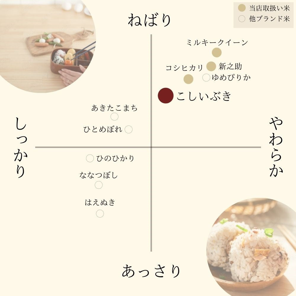 【限定クーポンで20%OFF】【受注精米】 送料無料 【 新潟県産 こしいぶき 】 お米 5kg （5キロ） 米 新潟 令和3年産 ブランド 新潟米