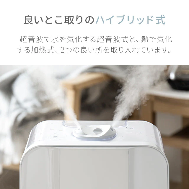 （ブラック） ハイブリッド加湿器【1年保証】