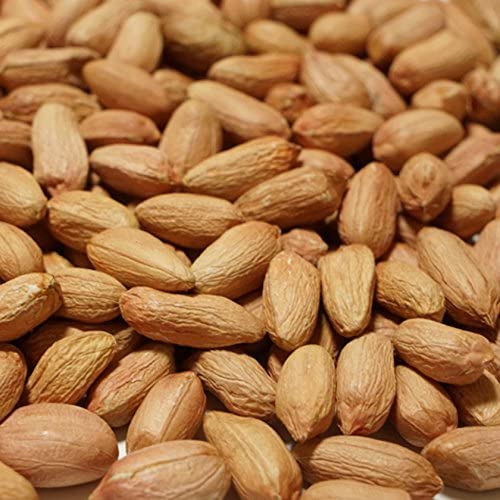 未調理なま落花生(ナカテユタカ)三等500g 千葉県八街産落花生